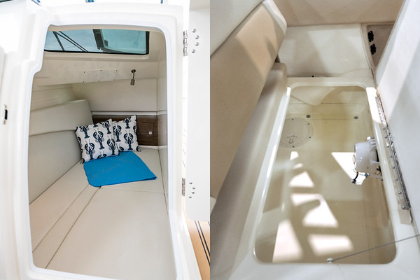 Boston Whaler 320 Vantage фото 1.7