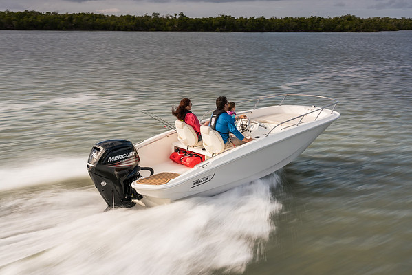 Boston Whaler 160 Super Sport фото 1.6