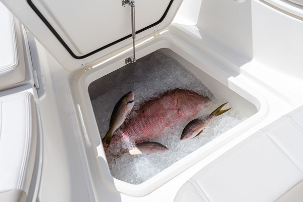 Boston Whaler 280 Dauntless фото 1.6