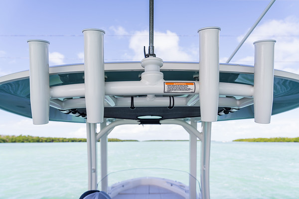 Boston Whaler 250 Dauntless фото 1.9