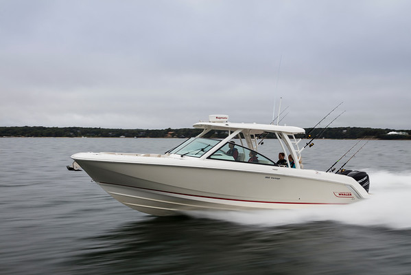 Boston Whaler 320 Vantage фото 1.6