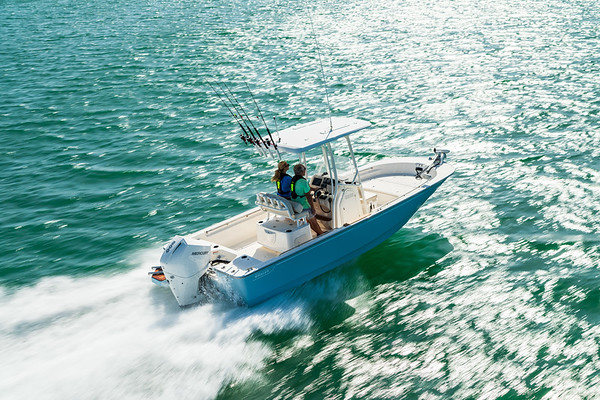 Boston Whaler 210 Montauk фото 1.9