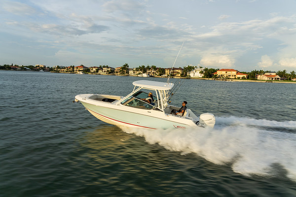Boston Whaler 240 Vantage фото 1.1