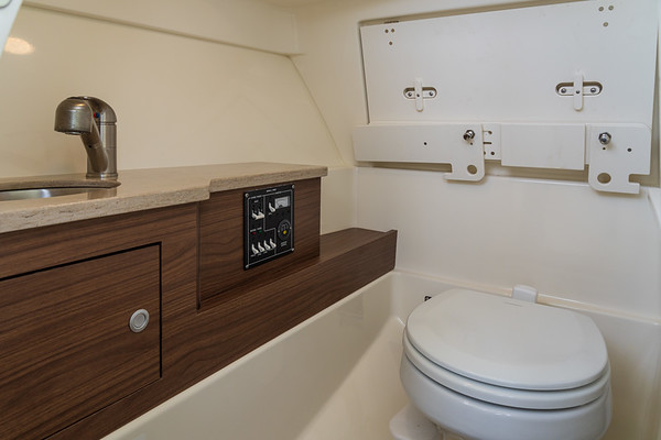 Boston Whaler 280 Vantage фото 1.5