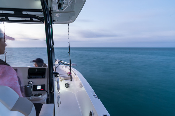 Boston Whaler 280 Dauntless фото 1.11