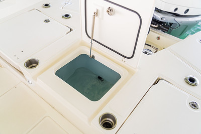 Boston Whaler 250 Dauntless фото 1.7