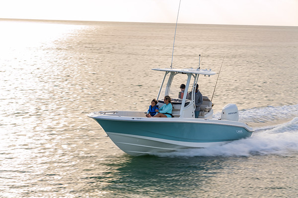 Boston Whaler 250 Dauntless фото 1.3
