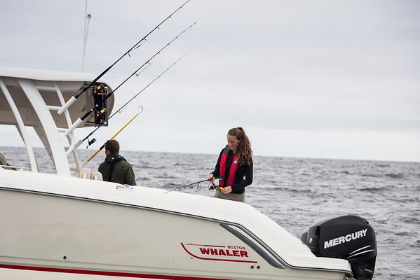 Boston Whaler 320 Vantage фото 1.5