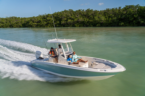 Boston Whaler 250 Dauntless фото 1.4
