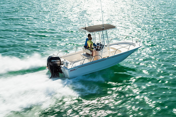Boston Whaler 190 Montauk фото 1.10