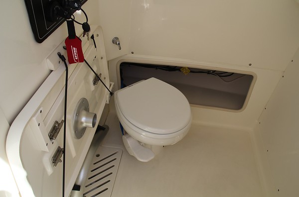 Boston Whaler 250 Outrage фото 1.5