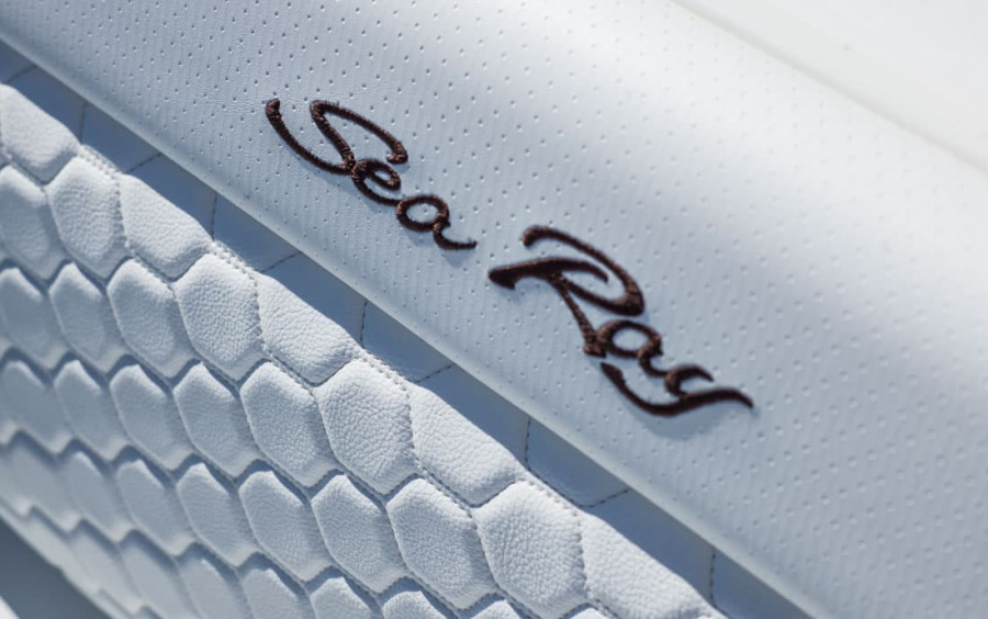 Sea Ray SDX 250 фото 2.10