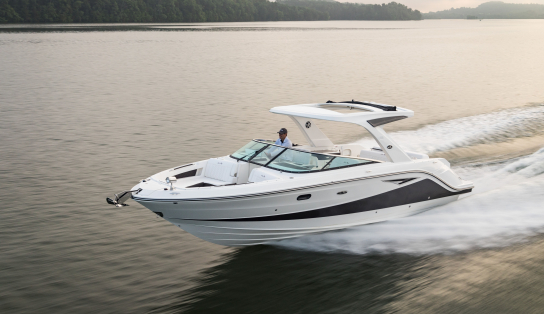 Sea Ray  SLX 310/802
