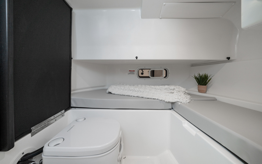 Sea Ray  SDX 250/3671 фото 1.5