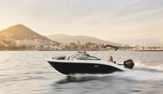 Sea Ray  SPX 210 OB/871 (Outboard)