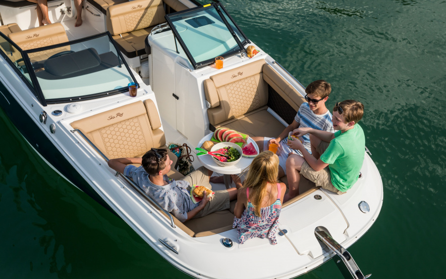 Sea Ray SDX 290 OB (Outboard) фото 1.5