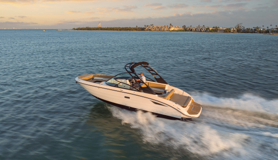 Sea Ray SDX 270