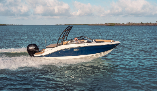 Sea Ray  190 SPX OB (Outboard)
