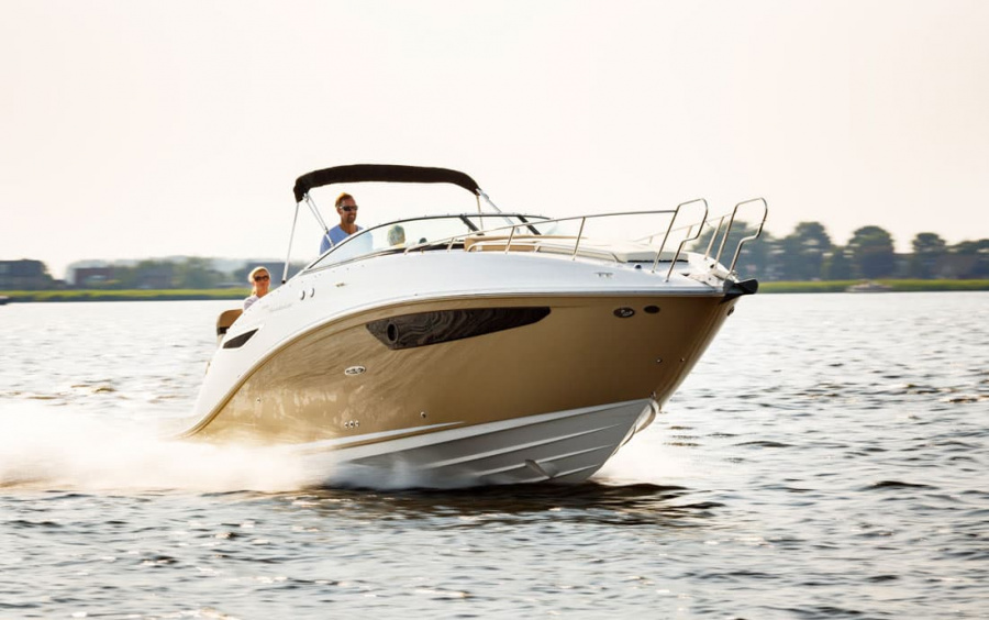 Sea Ray  Sundancer 265 фото 1.5