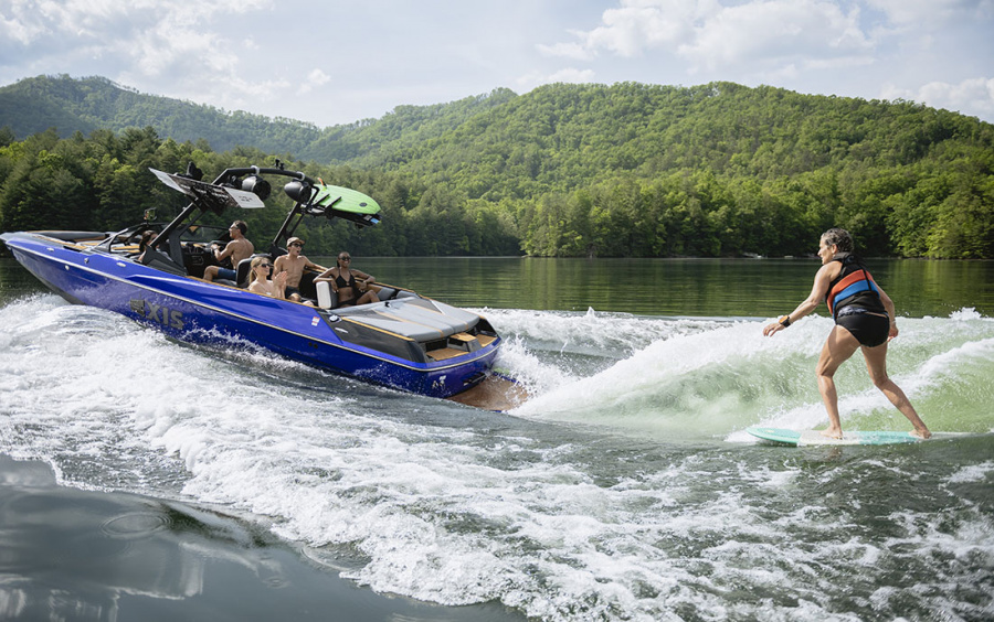 AXIS A245 фото 3.3