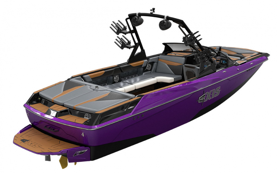 AXIS A245 фото 1.3