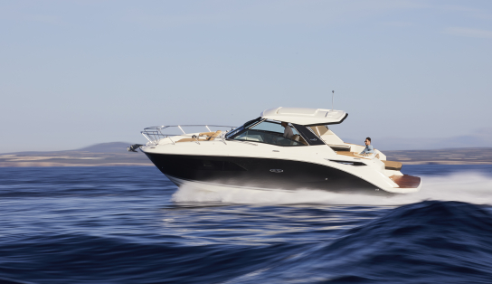 Sea Ray Sundancer 320