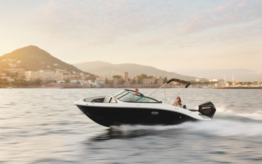 Sea Ray  SPX 210 OB/871 (Outboard) фото 1.1