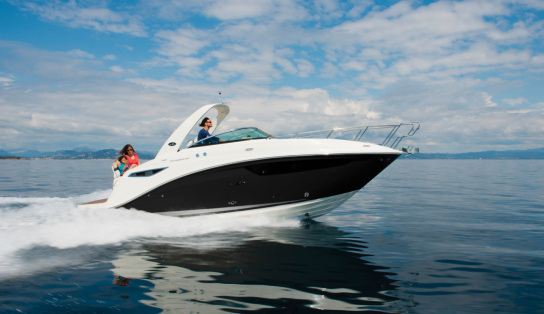 Sea Ray  Sundancer 265/487