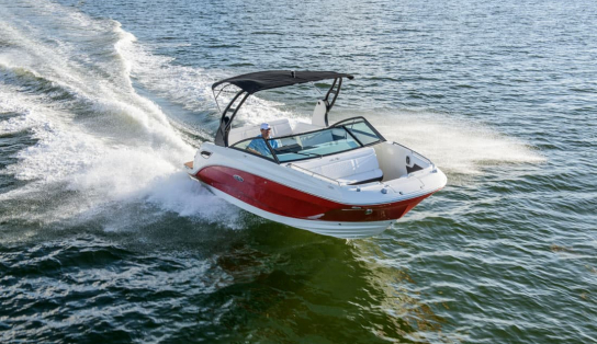 Sea Ray SDX 250