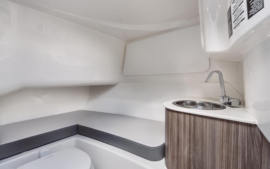 Sea Ray  SDX 250 фото 1.3