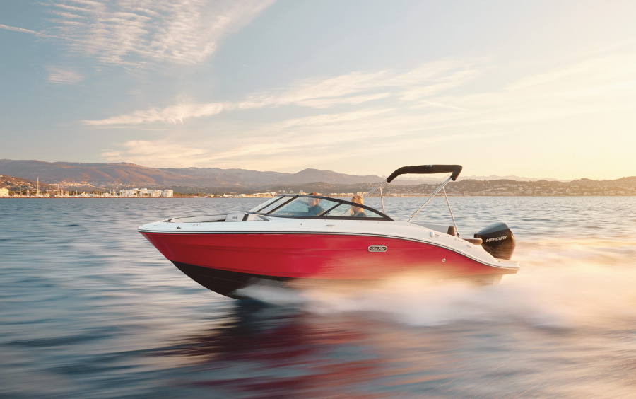 Sea Ray SPX 210 OB (Outboard) фото 1.1