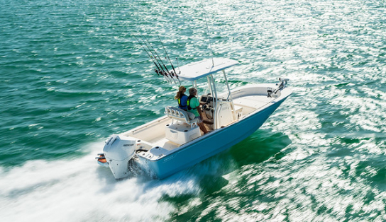 Boston Whaler 210 Montauk
